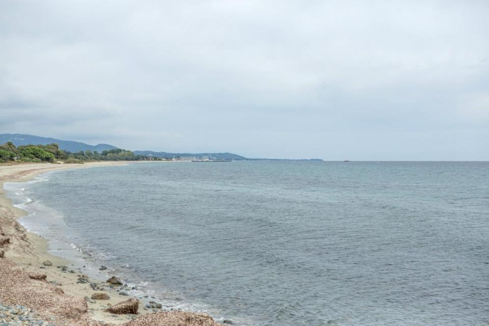 Villa T3 Bord De Mer - Vue Mer A 500 M De La Plage- Piscine Chauffee A Casetta Di A Spiaggia Cervione Exteriör bild